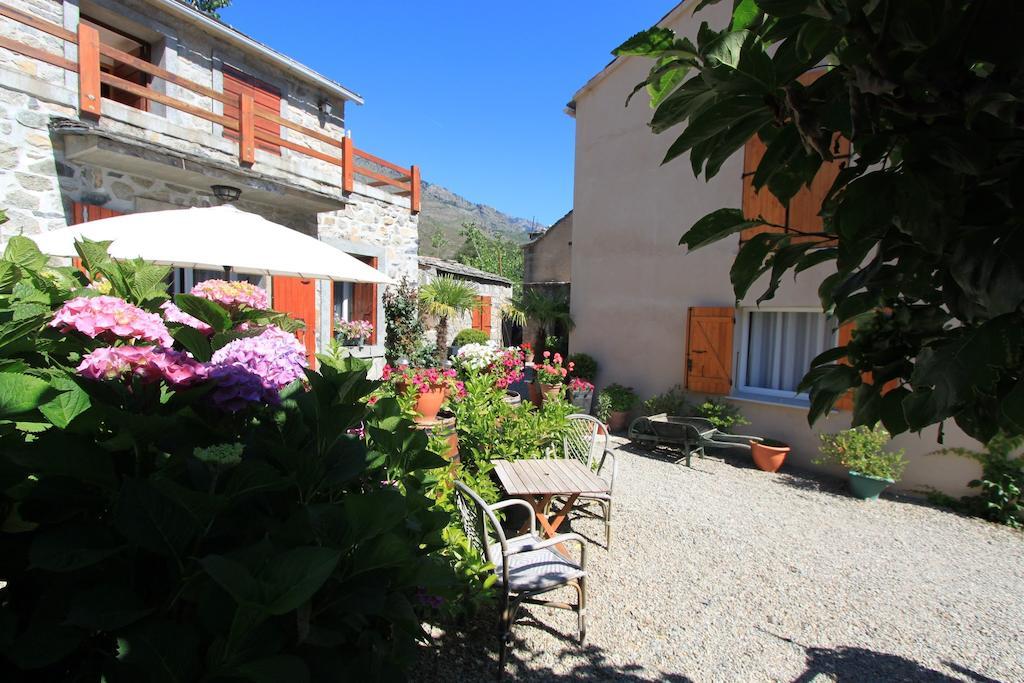 A Mandria, Appartements Avec Cuisine 30M2, Patio, Vue Montagnes Et Citadelle, 5 Minutes A Pied Du Centre Ville Et Des Rivieres Corte  Zewnętrze zdjęcie