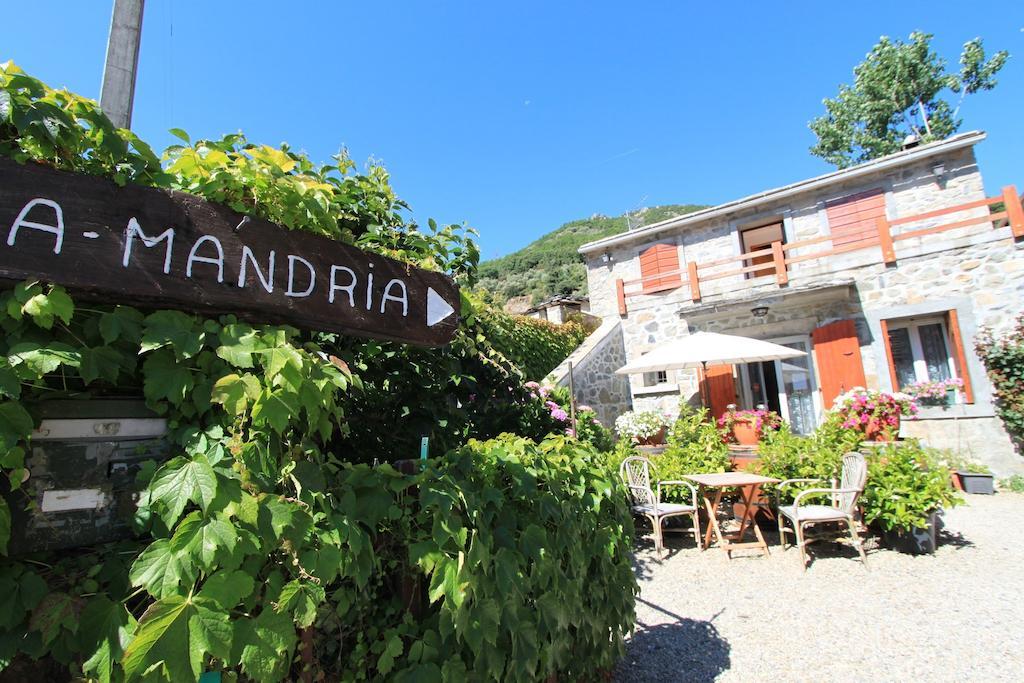 A Mandria, Appartements Avec Cuisine 30M2, Patio, Vue Montagnes Et Citadelle, 5 Minutes A Pied Du Centre Ville Et Des Rivieres Corte  Zewnętrze zdjęcie