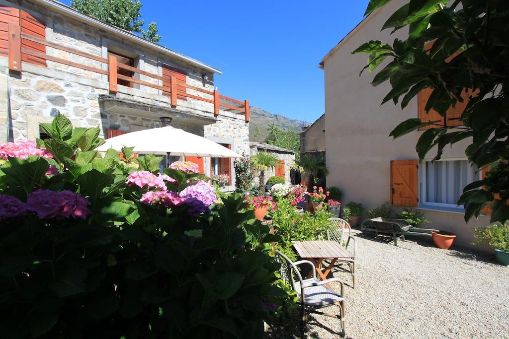 A Mandria, Appartements Avec Cuisine 30M2, Patio, Vue Montagnes Et Citadelle, 5 Minutes A Pied Du Centre Ville Et Des Rivieres Corte  Zewnętrze zdjęcie