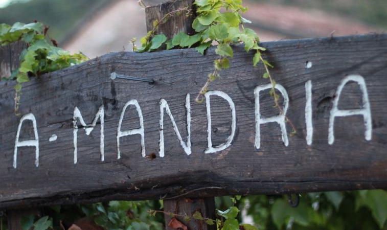 A Mandria, Appartements Avec Cuisine 30M2, Patio, Vue Montagnes Et Citadelle, 5 Minutes A Pied Du Centre Ville Et Des Rivieres Corte  Zewnętrze zdjęcie